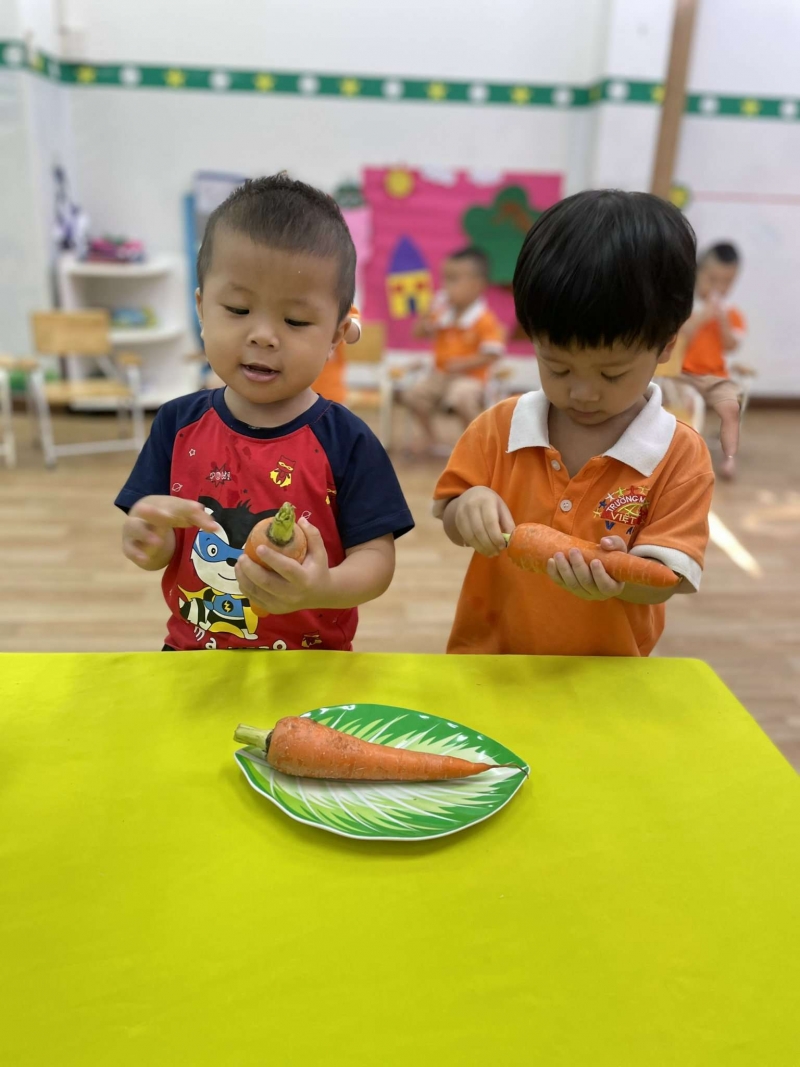 nt2 hoat dong nhan biet tap noi cu ca rot