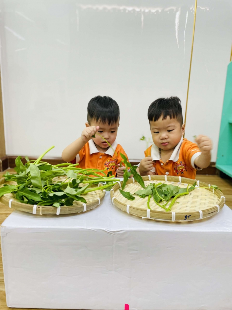 phan biet  rau muong va cai thia   nha tre 2