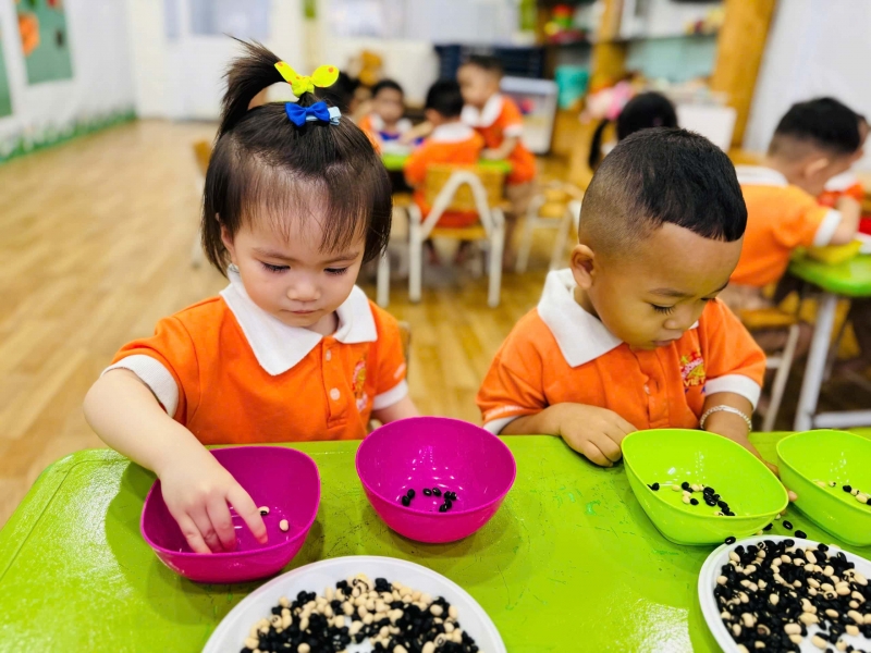 ph  n lo   i h   t      u   r  n t  nh ki  n nh   n