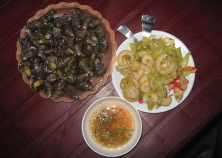 an oc tot cho thai phu
